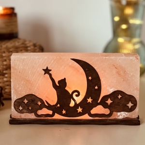 Соляна лампа "Котик на Місяці" 2 кг, Salt Lamp
